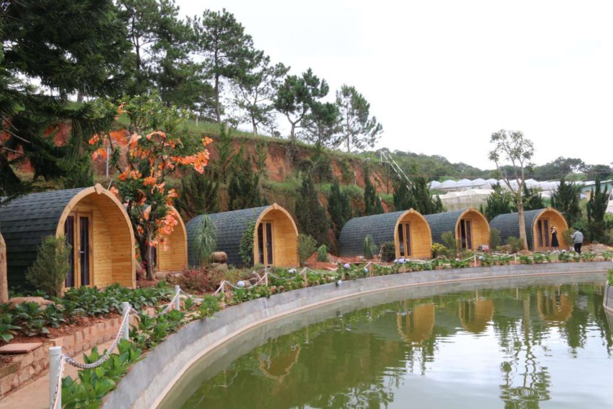 Thiết kế Bungalow tại Berry Valley Homestay Đ&agrave; Lạt 